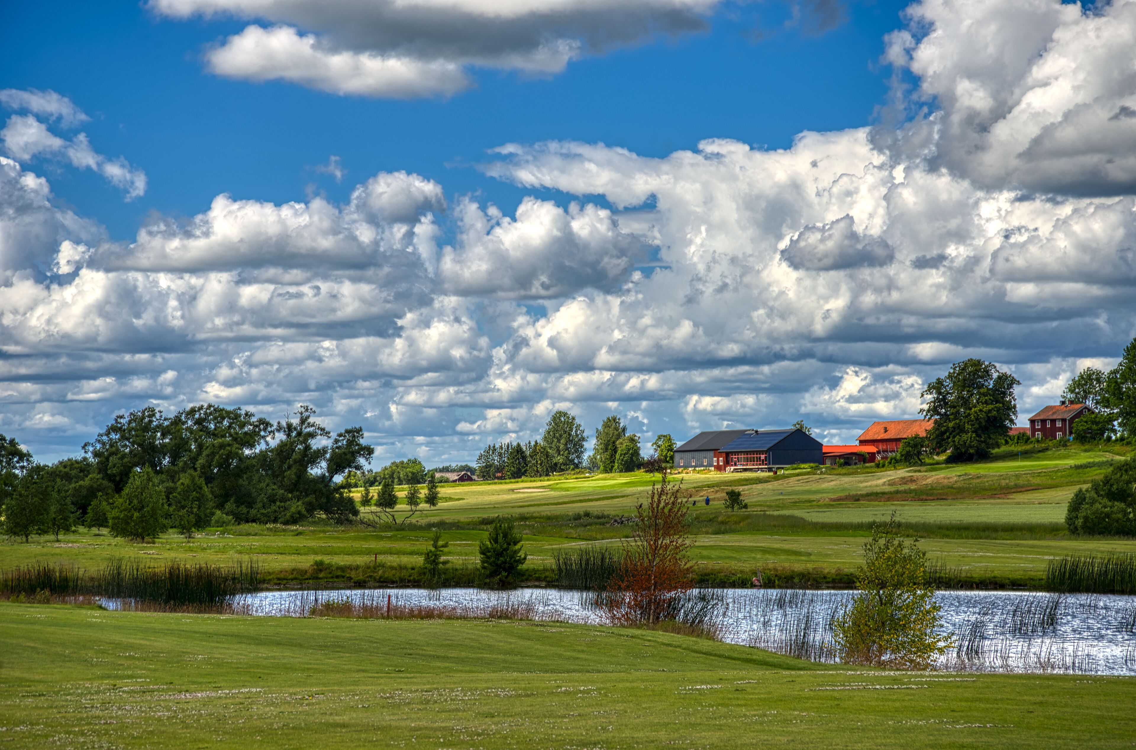 A golf course with a pond, trees, and houses in the background.