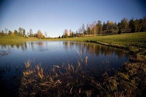 Un lago tranquilo rodeado de campos cubiertos de hierba y árboles.