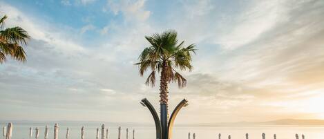 A beachside lounge area with sun loungers and a palm tree, overlooking the sea.