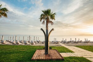 Vista desde la propiedad