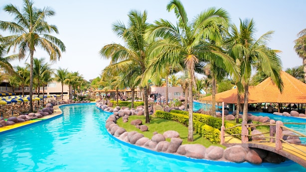 Un área de piscina con palmeras, un puente y sillas de descanso.
