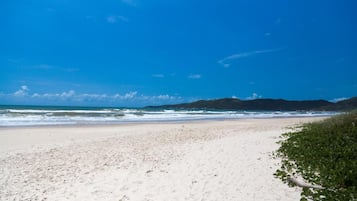 Perto da praia, espreguiçadeiras, guarda-sóis