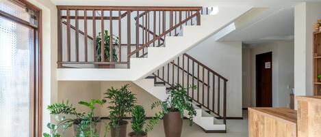 Escada com corrimãos de madeira e vários vasos de plantas na base.