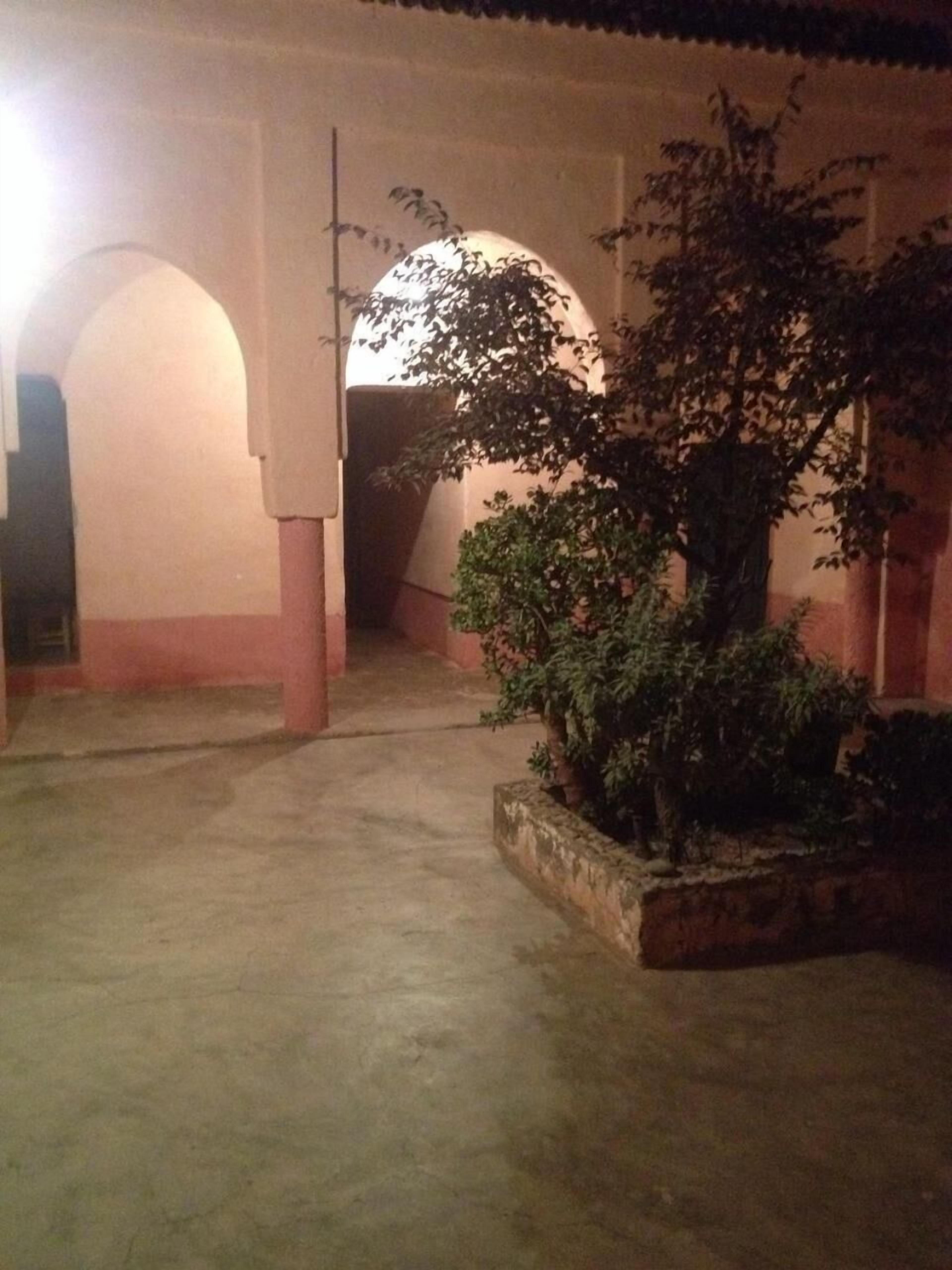 A dimly lit courtyard with a large archway and a potted plant.