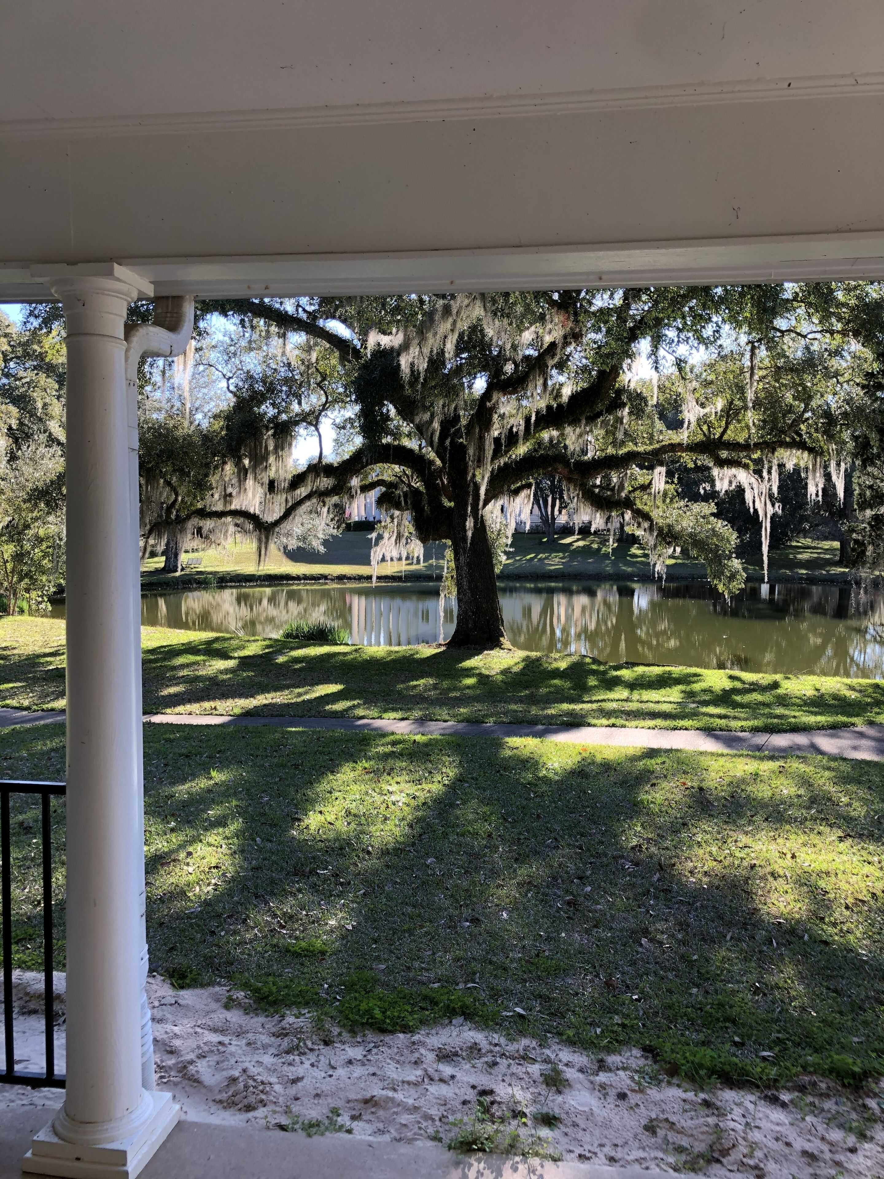 A covered porch with a view of a lake and trees with Spanish moss.