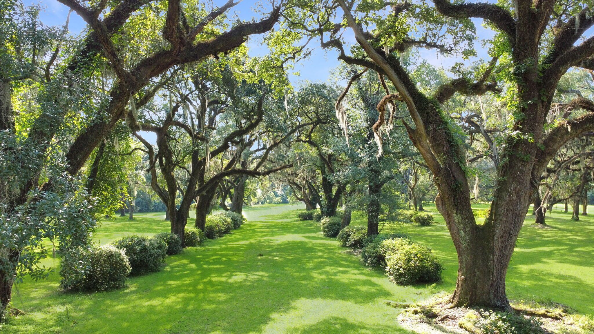 A lush, green landscape with mature trees and a well-maintained lawn.