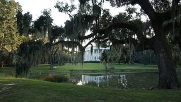 Vue depuis l’hébergement