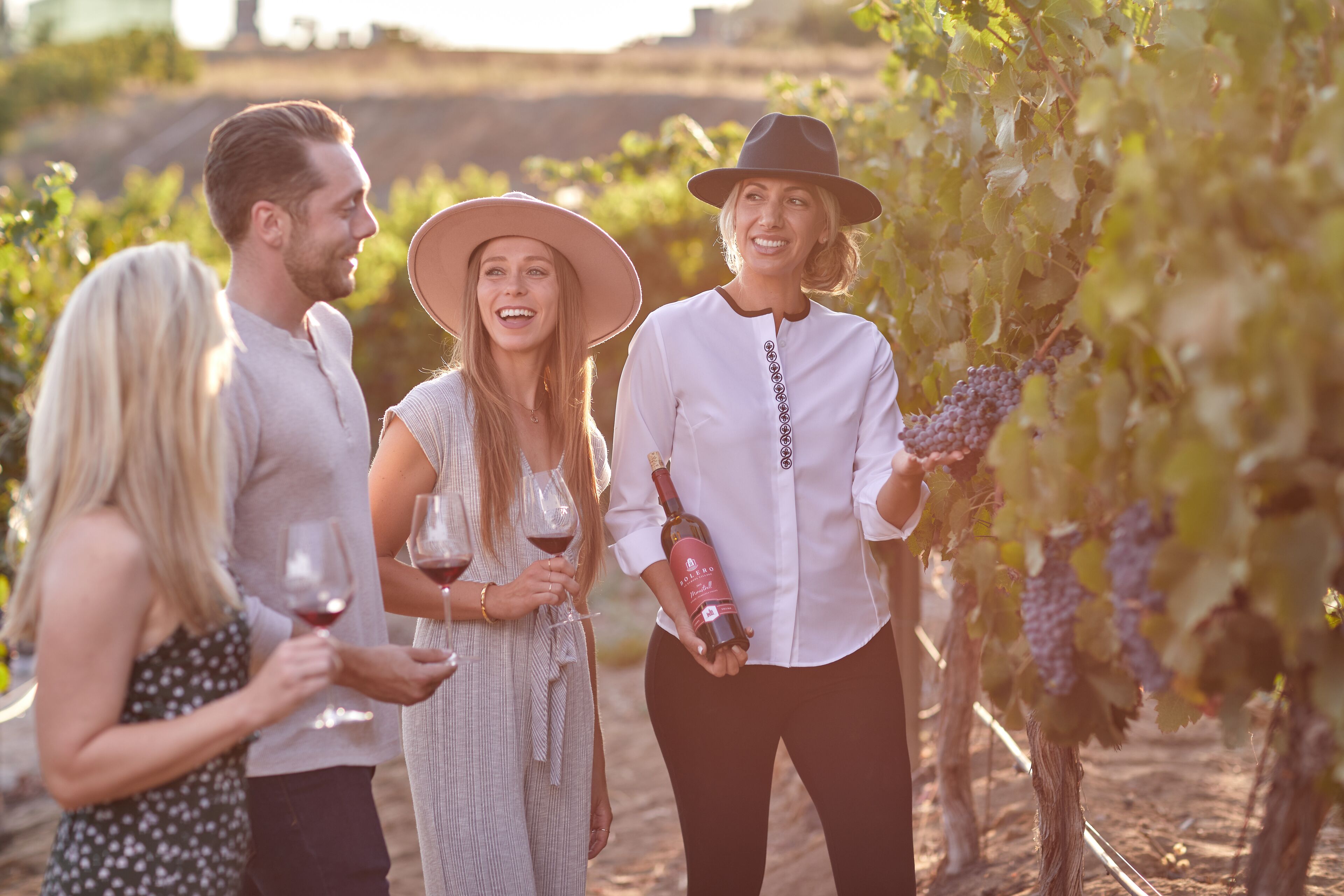 A group of people in a vineyard with rows of grapevines.