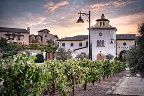 المنشأة من الخارج