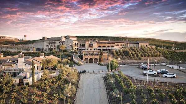 A large estate with a central building, multiple smaller structures, and a vineyard.