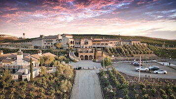 A large estate with a central building, multiple smaller structures, and a vineyard.