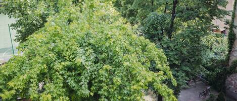 Comfort Apartment, Balcony, City View | View from room