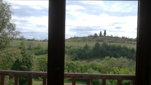 View from property - Terres de Barréjat (Cazals-des-Bayles)