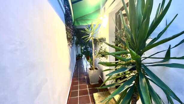 Un pasillo estrecho con suelo de baldosas, paredes blancas y plantas en macetas.