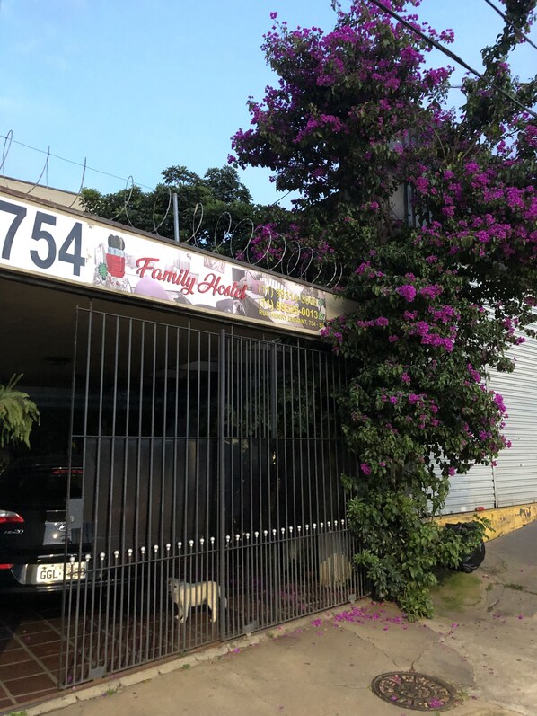 Tabla de planchar con plancha, wifi gratis y ropa de cama