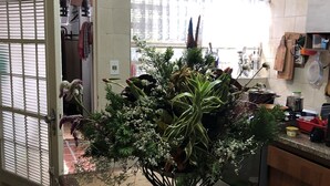 Una cocina con un ventanal grande, una planta en maceta sobre la encimera y un banco de madera.