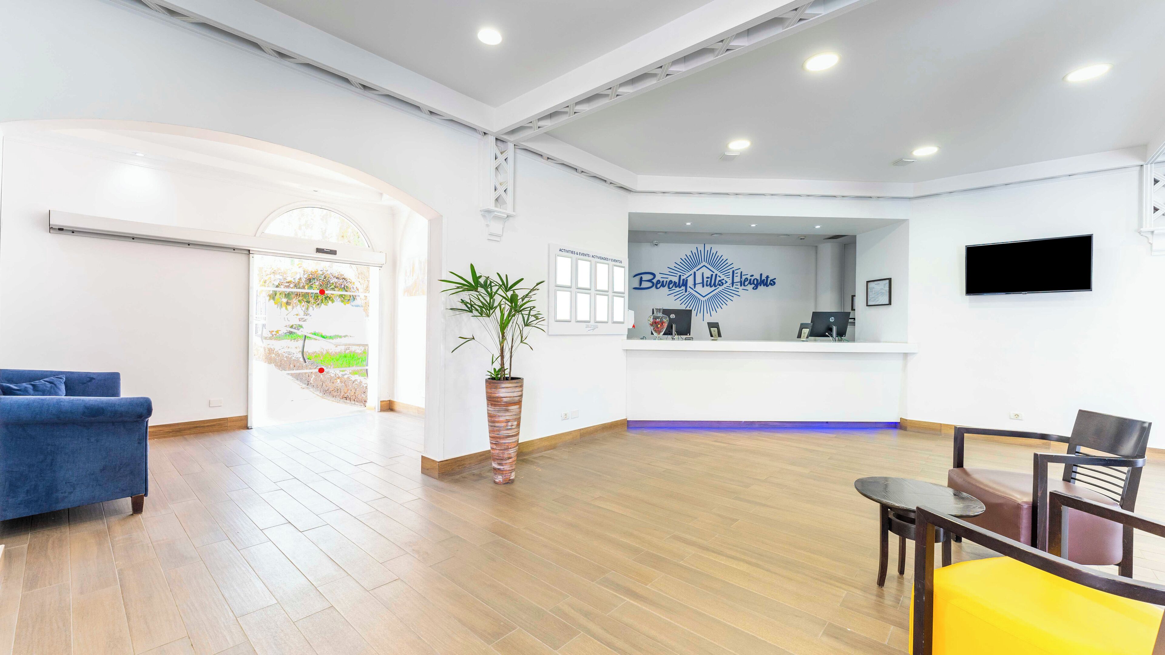 A reception area with a desk, chairs, a potted plant, and a large window.