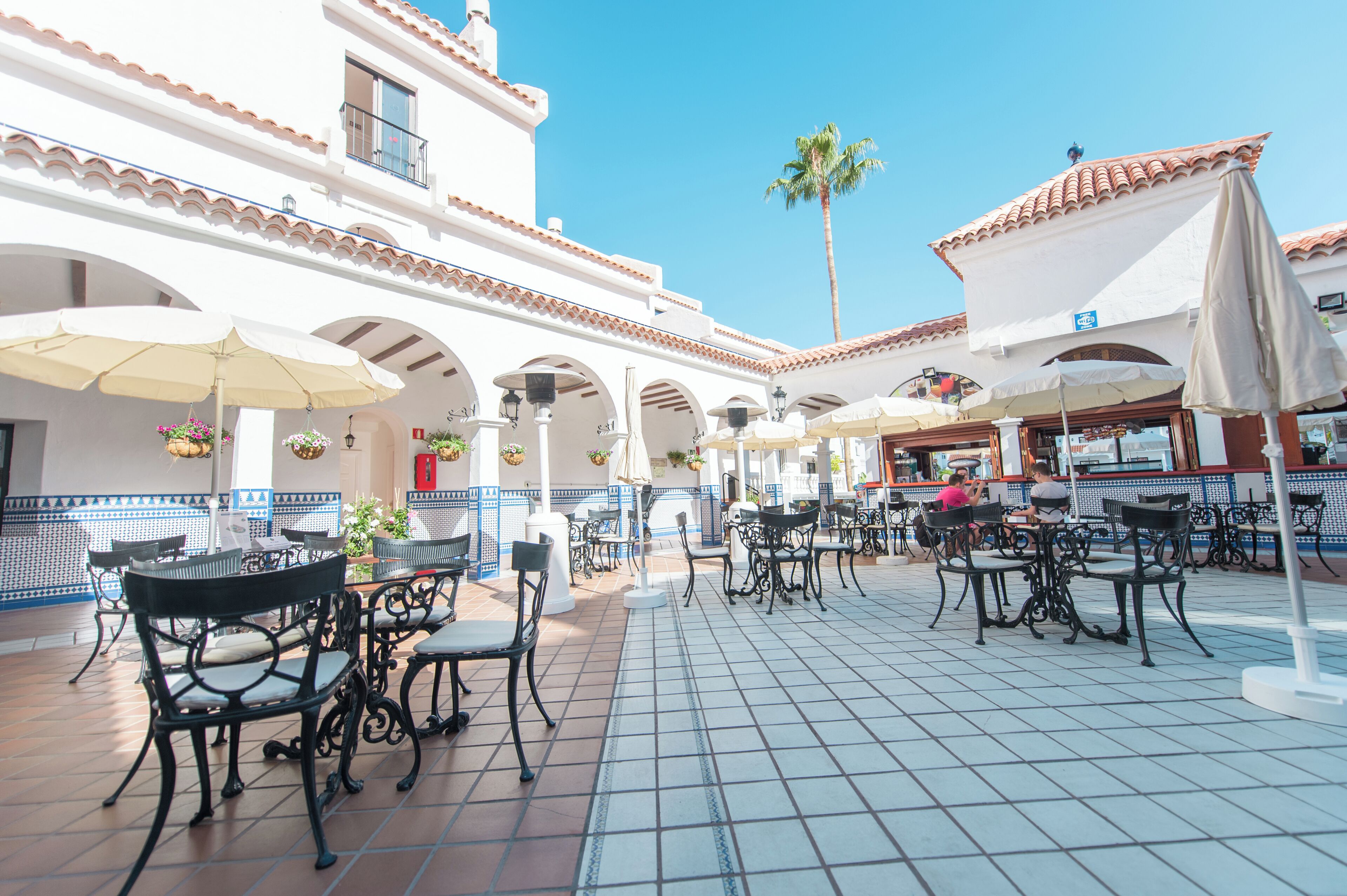 A courtyard with outdoor seating, white walls, and a palm tree.