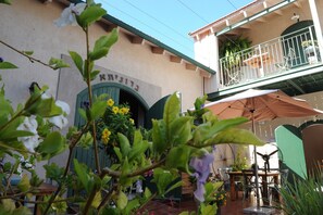 Exterior - Baronita (Zikhron Ya'aqov)