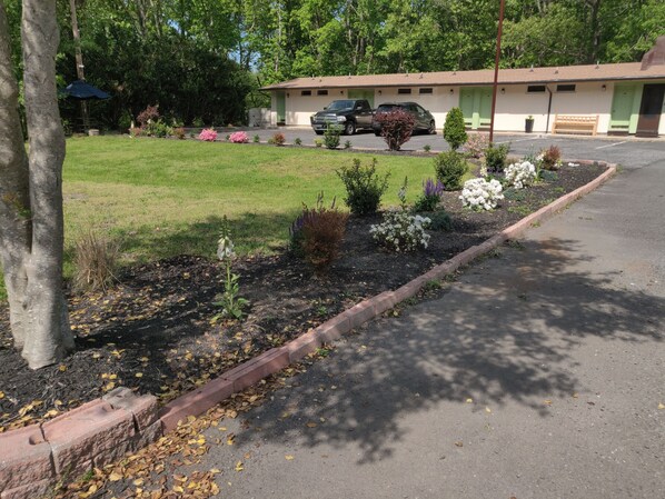 A parking lot with a building in the background, surrounded by a landscaped garden with various plants and shrubs. - Hill Top Motel (Wrightstown)