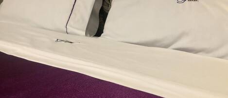 Un lit avec du linge de lit blanc et deux oreillers ornés de motifs brodés.