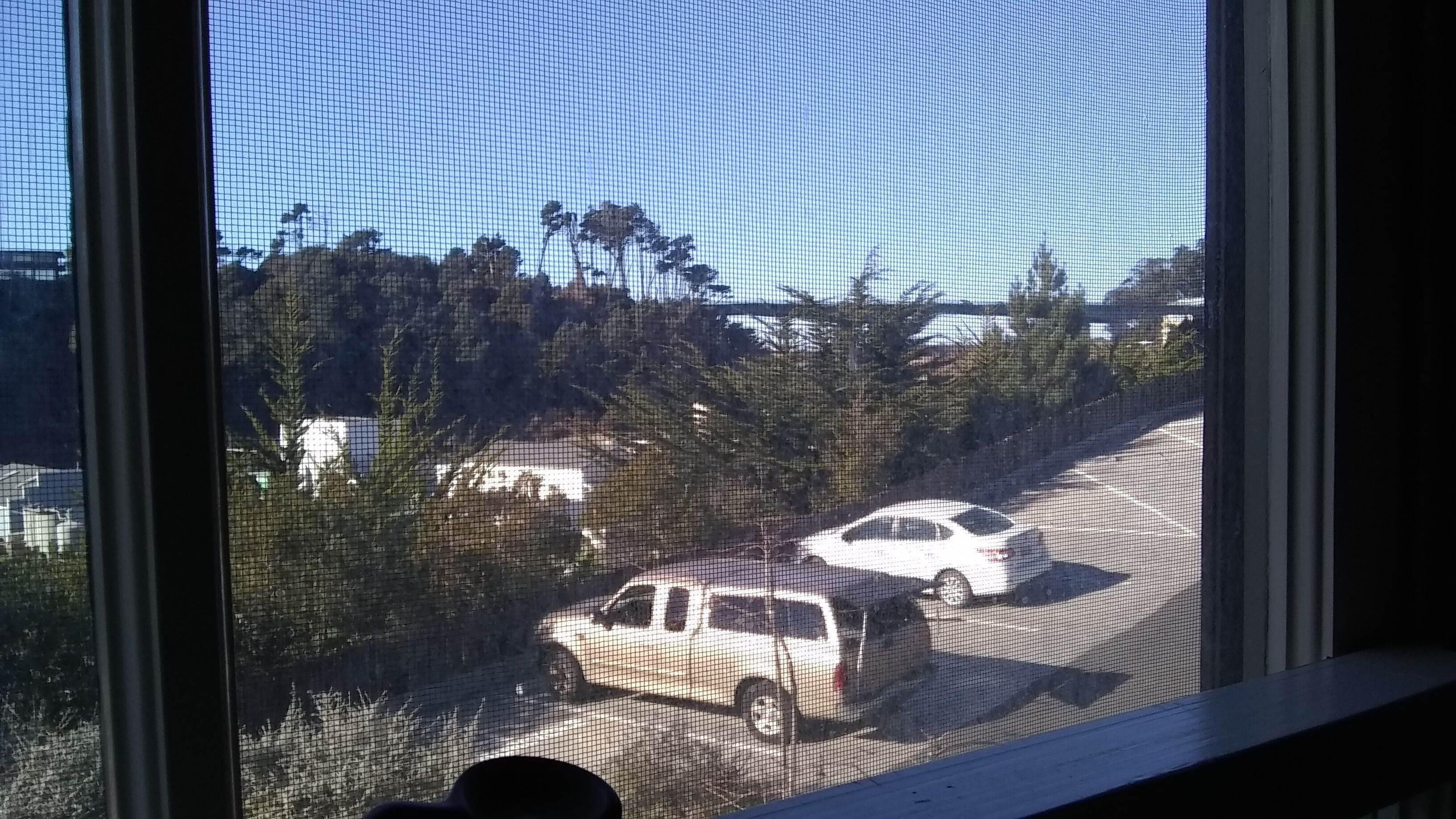 A view through a window with a mesh screen, displaying a parking lot with several cars and trees in the background.