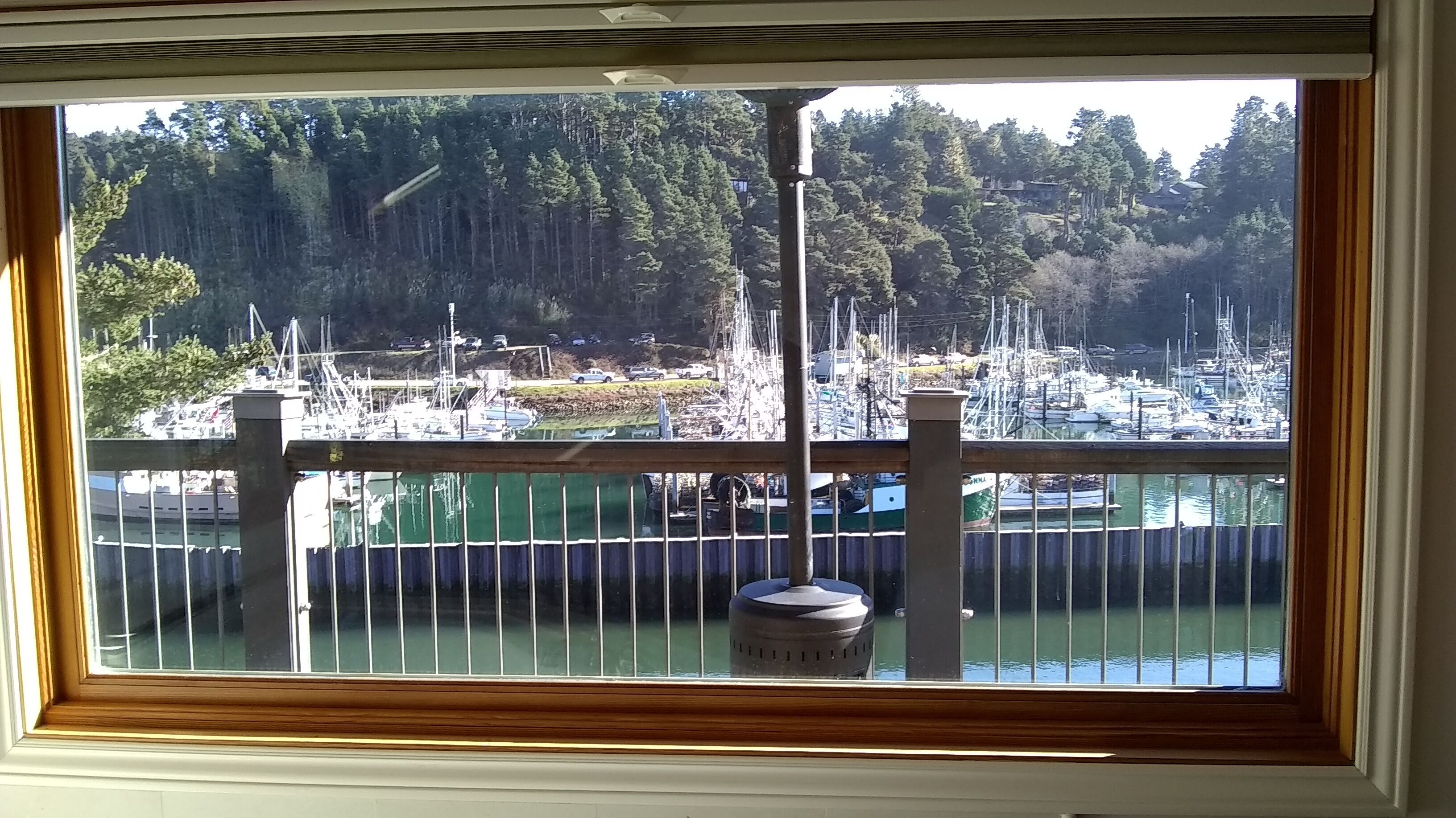 Vista de un puerto deportivo con barcos amarrados, rodeado de zona boscosa.