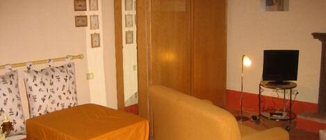 A bedroom with a bed, a sofa, a TV, and a wardrobe.