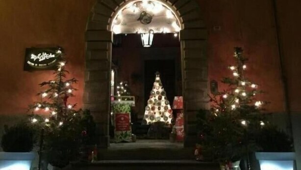 A building entrance with a Christmas tree, lights, and a sign. - Bed & Breakfast del Teatro (Cagli)