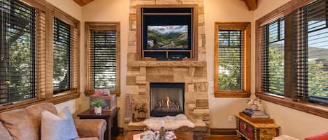 TV, fireplace, DVD player