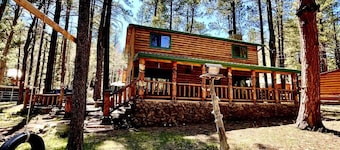 Sleepy Owl Lodge in Greer