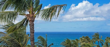 A tropical beach view with palm trees and a clear blue sky.