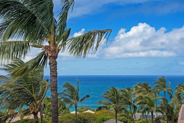 A tropical beach view with palm trees and a clear blue sky.