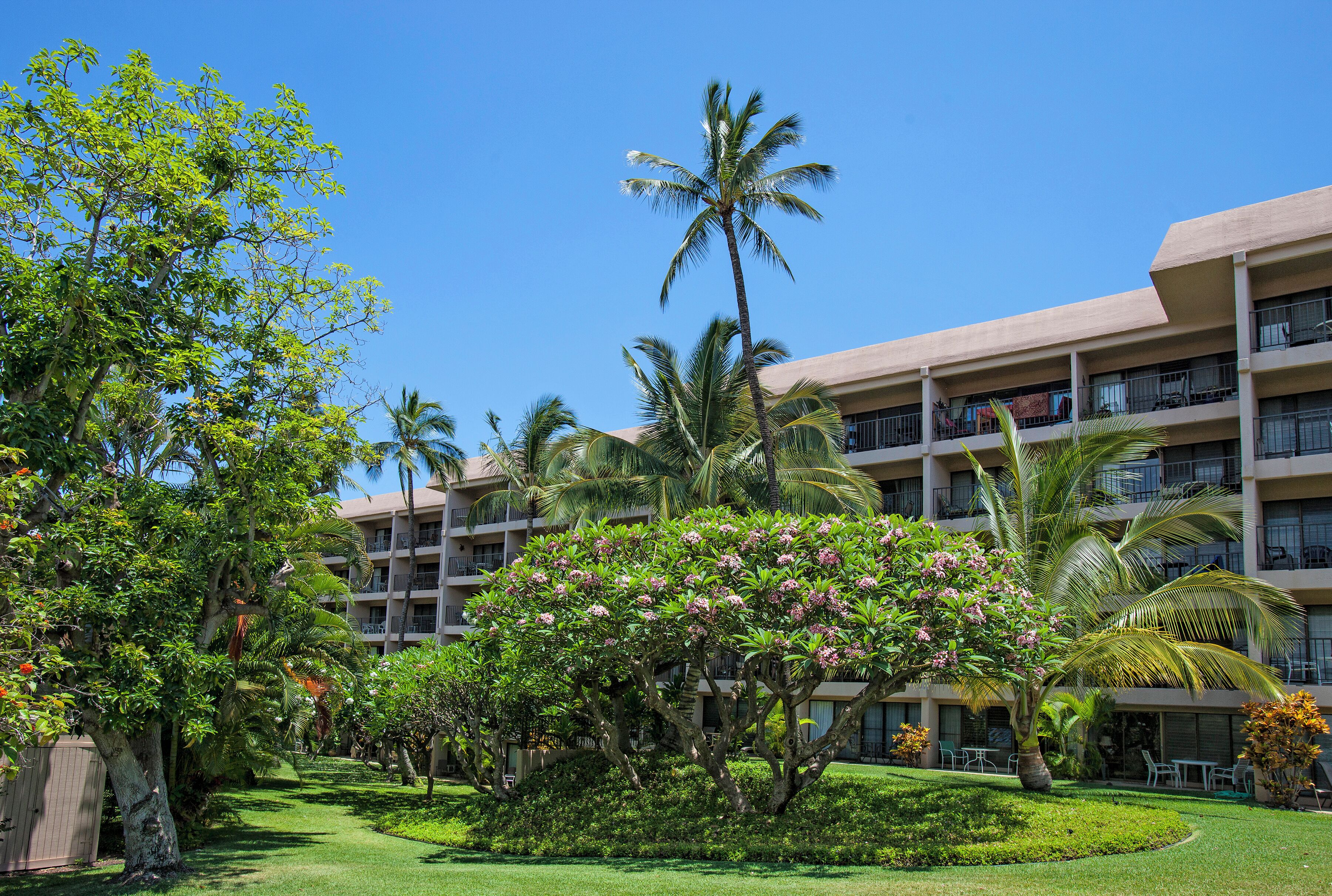 Un hotel con varios pisos, balcones y abundante vegetación, incluyendo palmeras y plantas con flores.
