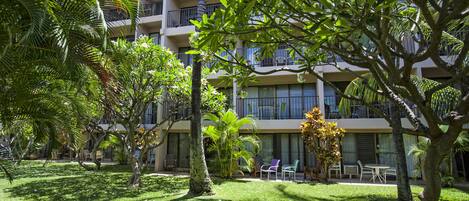 Un patio de hotel con césped, palmeras y mobiliario exterior.