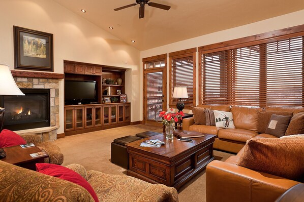 Televisión de pantalla plana, chimenea, reproductor de DVD y estéreo 