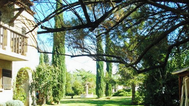 A courtyard with a lawn, a building with a classical facade, and a tall tree providing shade. - Homerez - Provencal Villa with Pool in Barbentane (Barbentane)