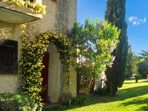 A building with a stone facade, a wooden door, and a garden with yellow flowers and a tree with pink blossoms. - Homerez - Provencal Villa with Pool in Barbentane (Barbentane)