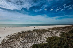 Una spiaggia con sabbia e vegetazione rada, cielo sereno e mare calmo.