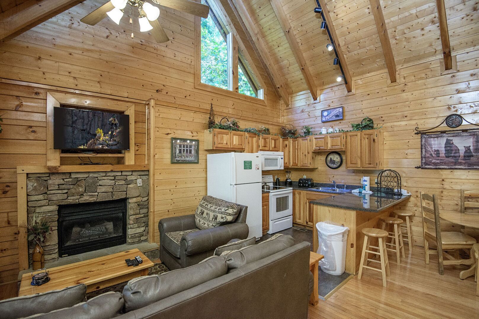 TV, fireplace, DVD player