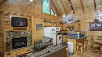 TV, fireplace, DVD player