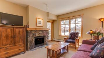 Smart TV, fireplace, DVD player, books