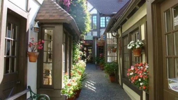 Un estrecho callejón flanqueado por edificios, cada uno decorado con macetas y flores.