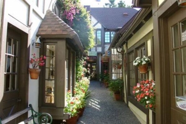 Exterior detail - Newly Remodeled Downtown Cottage. 1 block to shops, arts, eats. 5 blks to Beach (Carmel-by-the-Sea)