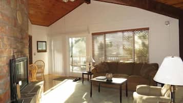 電視、Netflix、書籍、串流服務