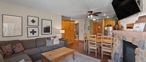 Télévision, cheminée, lecteur de DVD