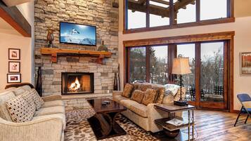 Télévision, cheminée, lecteur de DVD, chaîne hi-fi