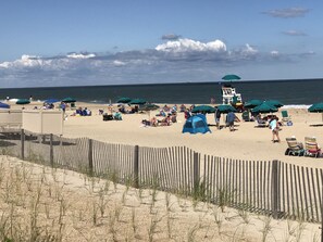 Playa en los alrededores 