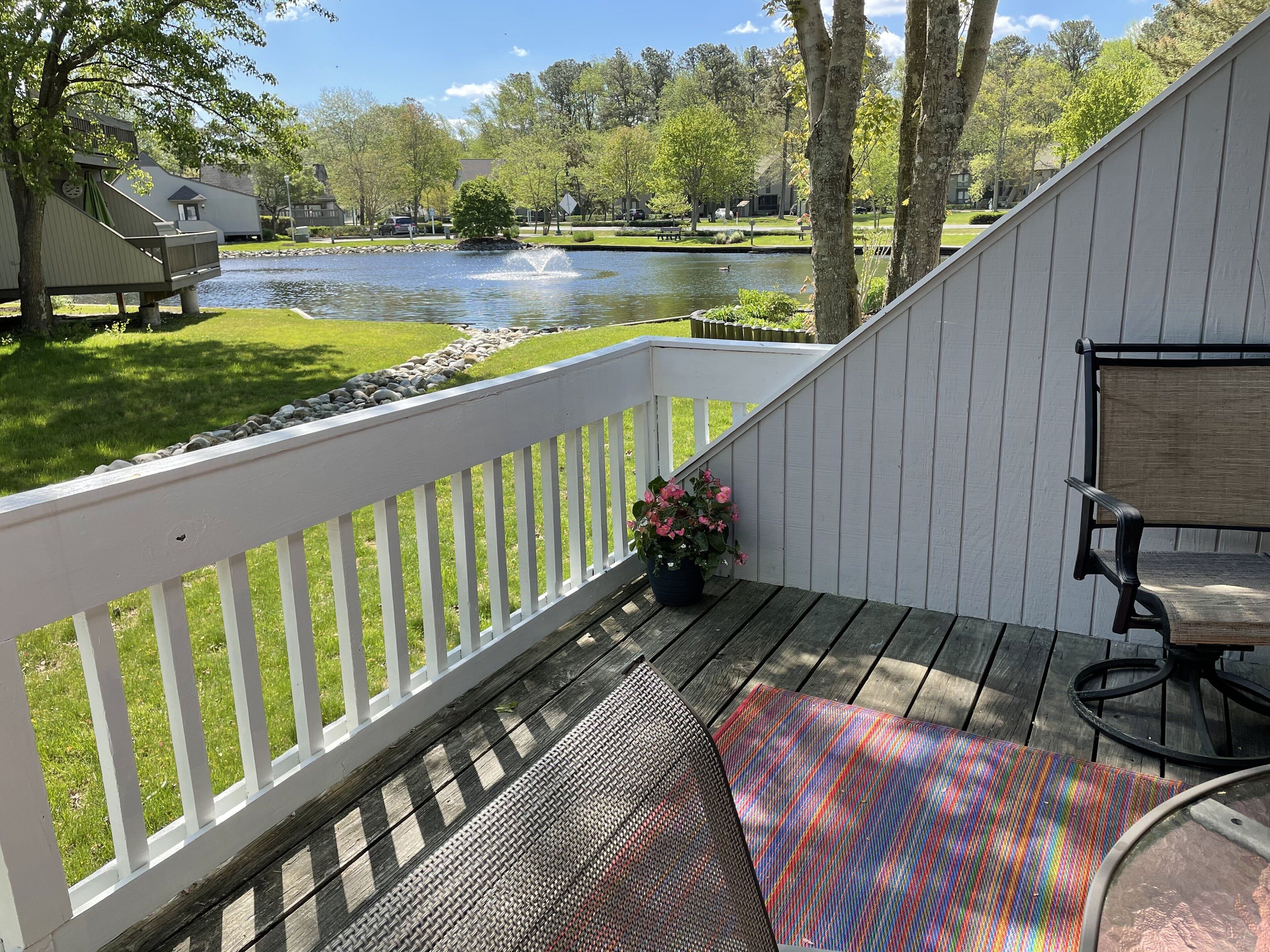 Great view of the Swan Pond