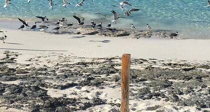 Entfliehen Sie dem täglichen Stress des Lebens zu diesem ruhigen Strandhäuschen.